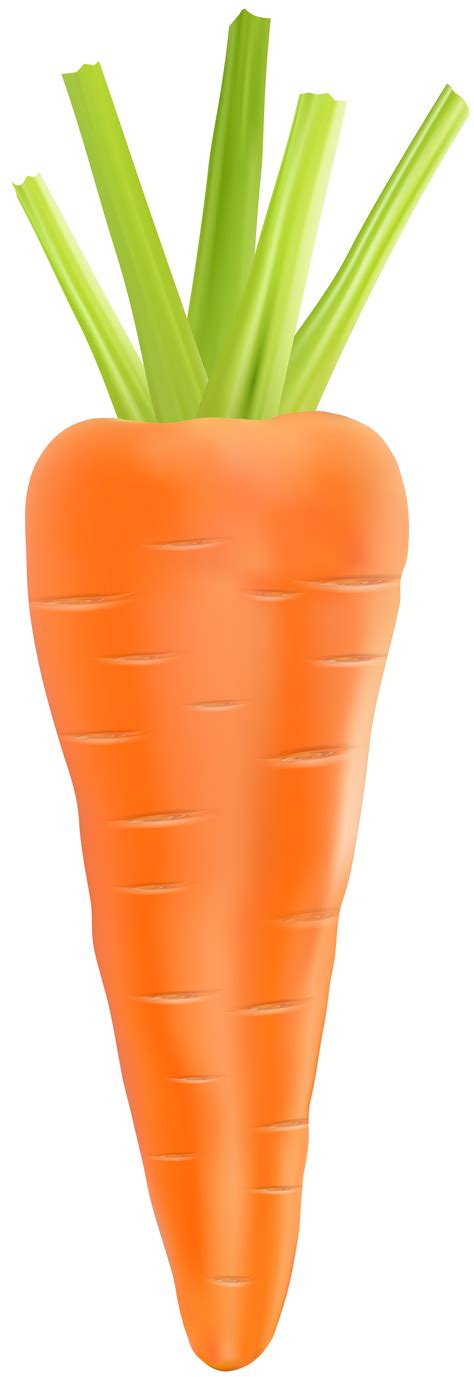 Red Carrot Clipart Clip Art Library