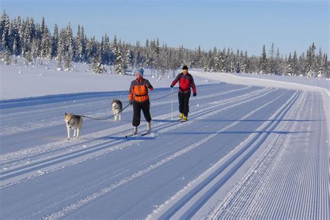 Lillehammer A Destination For Cross Country Skiing Skiing