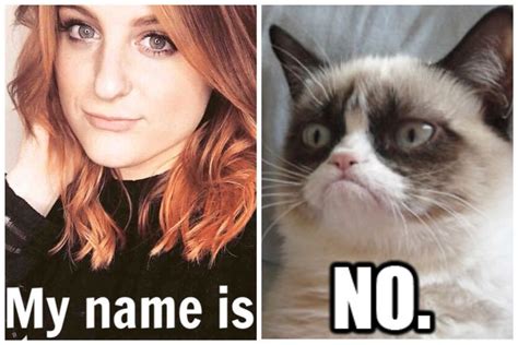 Two Pictures One With A Grumpy Cat And The Other With No