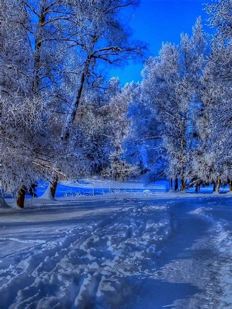 Free Download Beautiful Winter Backgrounds 1920x1080 For Your Desktop