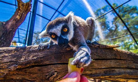 Things to do in Orlando besides theme parks - Tripadvisor