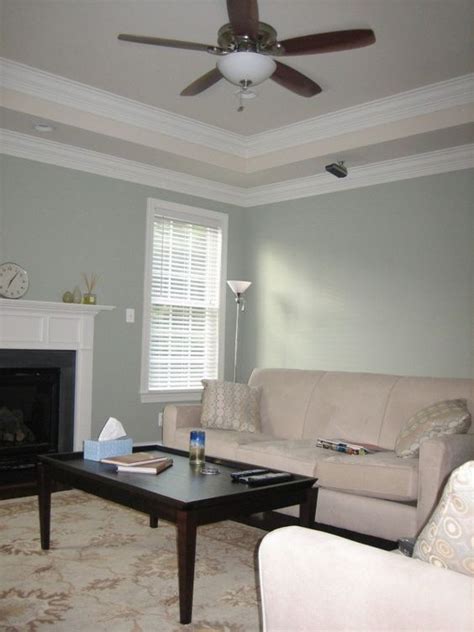 (not a coved ceiling, but ex of same ceiling color. Tray ceilings, Crowns and Trays on Pinterest