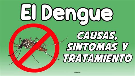 El Dengue Causas Síntomas Diagnóstico Y Tratamiento Youtube