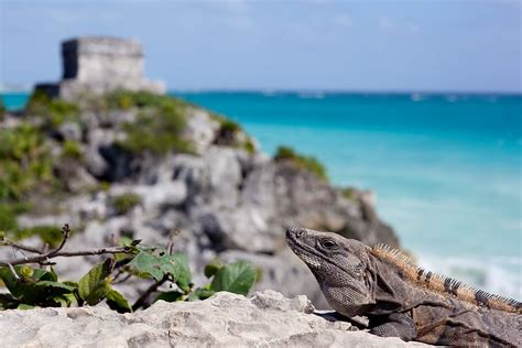 Quintana Roo Mexico 1080p 2k 4k 5k Hd Wallpapers Free Download