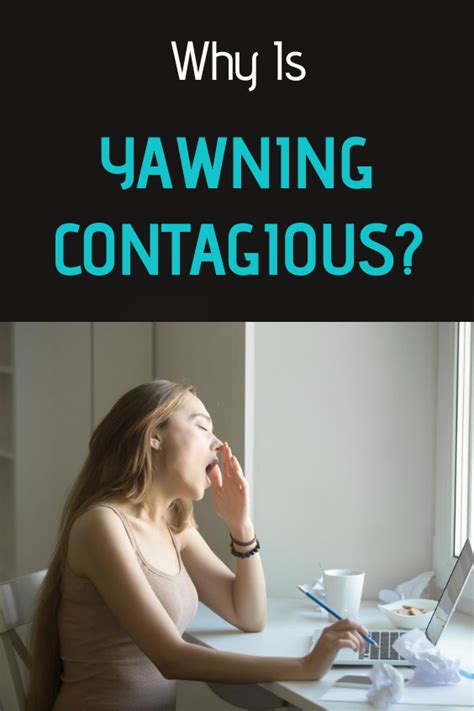 Why Is Yawning Contagious Heres The Amazing Answer