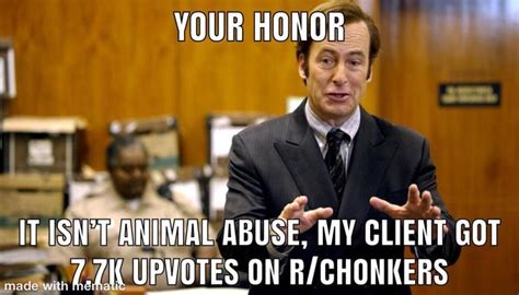 Your Honor Memes Antimoms