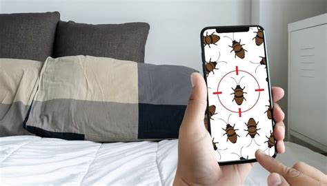 Find Bed Bugs During The Day In 3 Stealthy Ways