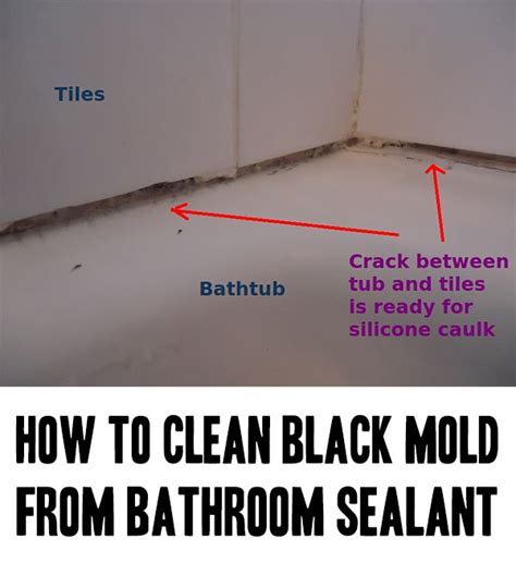 Black mold can also grow on wooden surfaces if there is a nearby water source. How to Clean Black Mold from Bathroom Sealant - Home ...