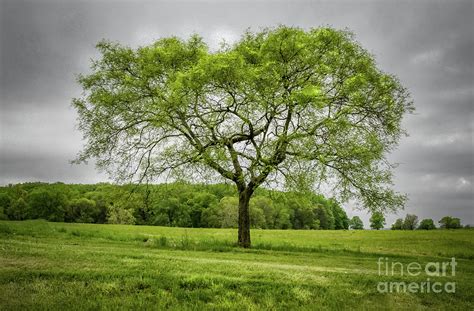 Valley Forge 0521c Photograph By Howard Roberts Fine Art America