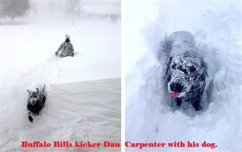 Buffalo Dogs Battling The Blizzard Life With Dogs