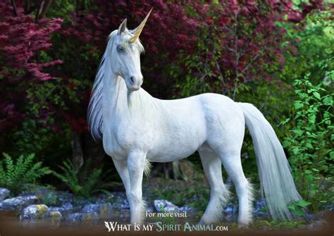 Unicorn Symbolism And Meaning Unicorn Spirit Totem And Power Animal