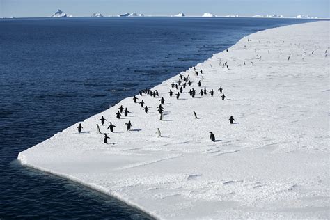 Antarctic Ocean Protection Europes Role On The Road To Santiago