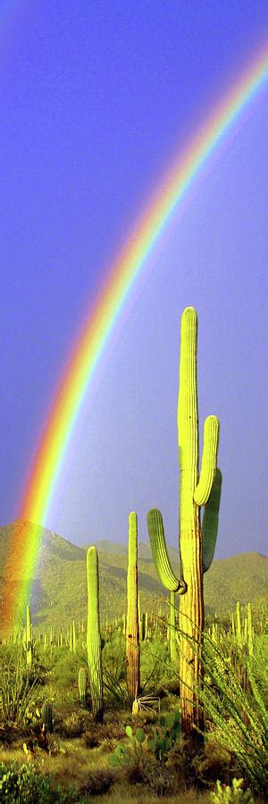 Desert Rainbow In Tall Vertical Panoramic Style Photograph By Douglas