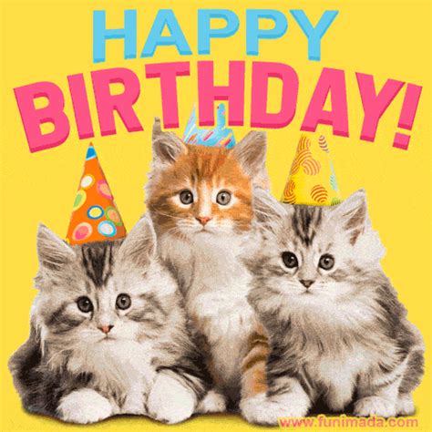 Three Cute Little Kittens Happy Birthday 