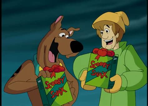 Shaggy Rogers Scooby Doo Daily