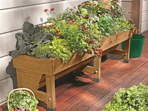 How To Make A Vegetable Garden In Small Spaces Garden Likes