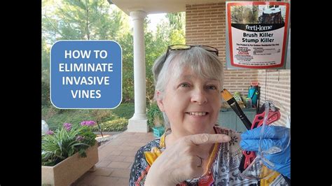 How To Eliminate Invasive Vines Be Careful What You Plant Youtube