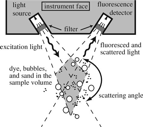 Schematic Of Fluorometer Optics Eco Triplet Example Light Emitted