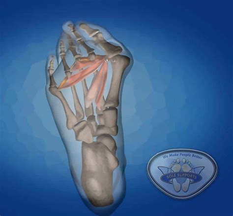 Causes And Treatment Of Bunion Pain