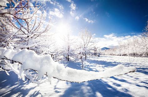 Best Sunny Winter Day Stock Photos Pictures And Royalty Free Images Istock