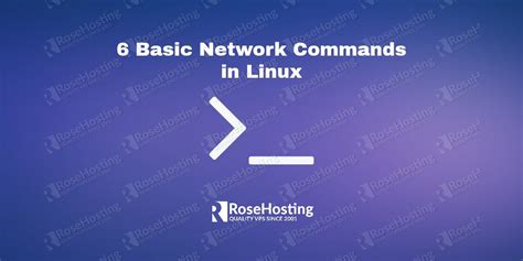 6 Basic Network Commands In Linux Rosehosting