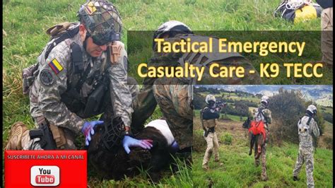 K9 Tactical Emergency Casualty Care K9 Tecc Youtube