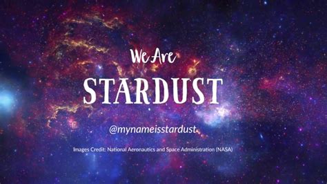 We Are Stardust Featuring Neil Degrasse Tysons Most Astounding Fact