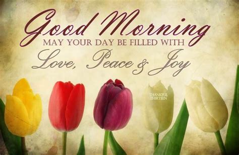 Good Morning Love Peace And Joy Pictures Photos And Images For