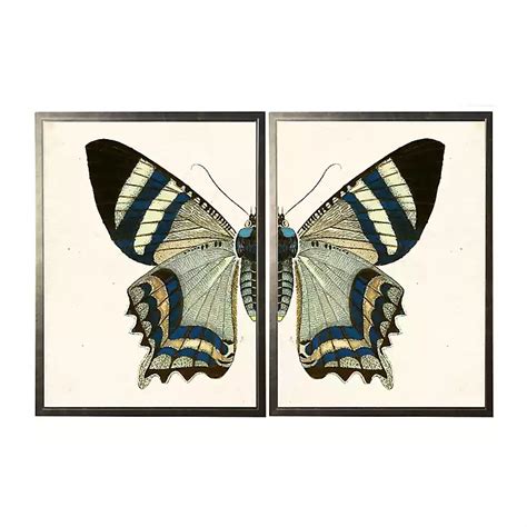 Digital Butterfly Art Print Art And Collectibles Drawing And Illustration