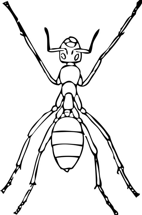 Outline Clipart Ant Outline Ant Transparent Free For Download On