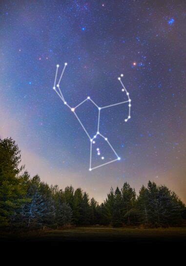 Pictures Of The Constellation Orion Wells Alifuld