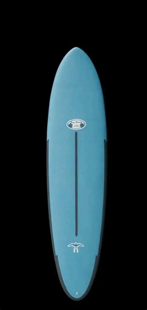Surftech Soft Top Surfboards Review