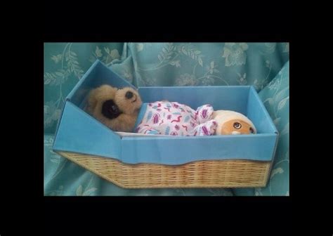 8 Best Baby Oleg Images On Pinterest Baby Meerkat