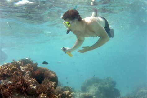 Unesco Hails 29 Bn Australian Plan To Protect Great Barrier Reef Herald Sun