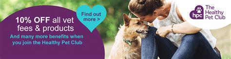 The day your pet enters our hospital it becomes. Vet practice in Chesterfield and Nottinghamshire | Carrick ...