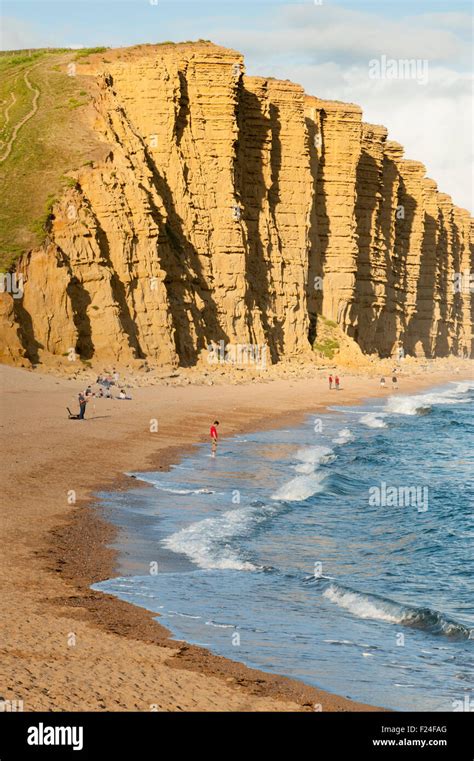 The Cliffs Of The Jurassic Coast Near West Bay Bridport Dorset