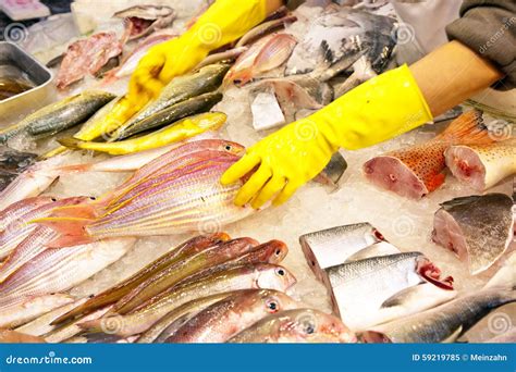 Whole Fresh Fishes Are Offered In The Fish Market In Asia Stock Image