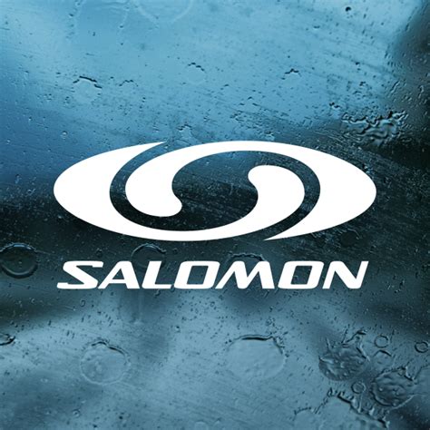 Simple Color Vinyl Salomon Logo Stickers Factory