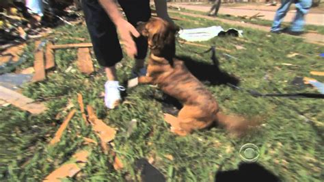 Tornado Victim Reunites With Dog During Interview Youtube