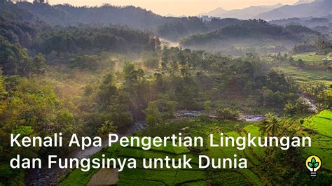 Kenali Apa Pengertian Lingkungan Dan Fungsinya Untuk Dunia Lets Burn