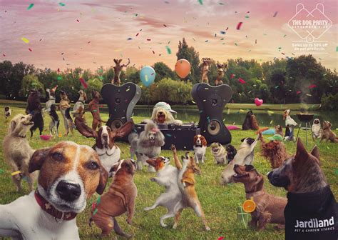 Jardiland The Dog Party Ads Of The World Part Of The Clio Network
