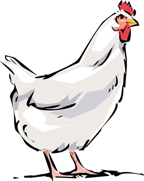 Download Chicken Sketch Cartoon Royalty Free Stock Illustration