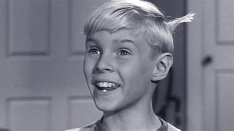Watch Dennis The Menace Season 2 Episode 31 Dennis And The Camera