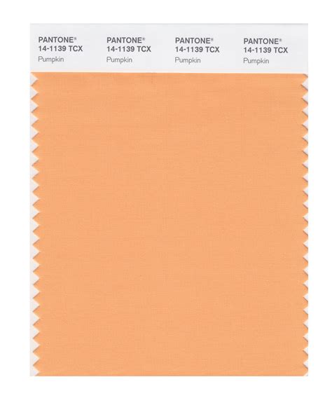 Pantone Smart Color Swatch Card 14 1139 Tcx Pumpkin Columbia Omni Studio