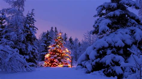 Free Download 49 Christmas Scenery Wallpapers On Wallpaperplay