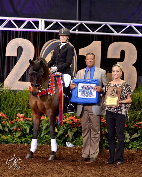 Pin On 2013 Grand National And World Championship Morgan Horse Show