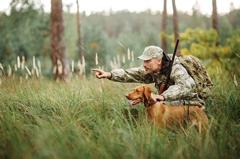 Keeping Your Hunting Dog In Shape All Year Long Edenwood Ranch