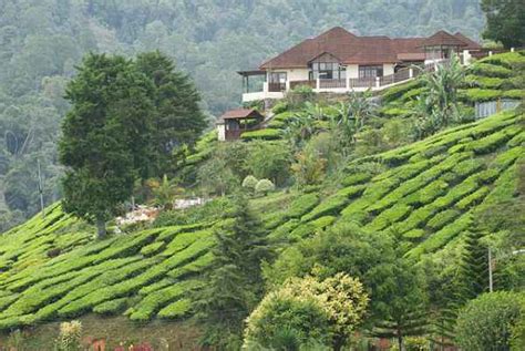 In an effort to diversify the economy and make malaysia's economy less dependent on exports. Top 10 Tourist Attractions in Malaysia - Top Travel Lists