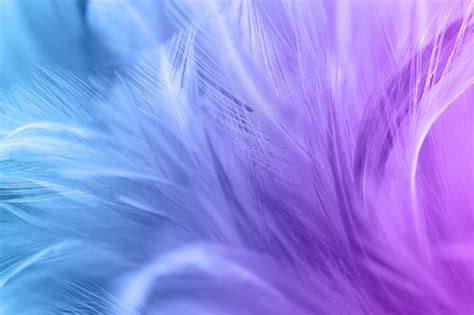 Premium Photo Pastel Colored Of Chicken Feathers In Soft And Blur