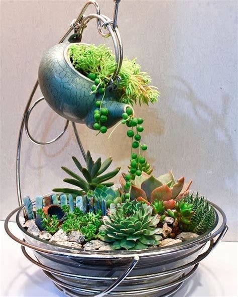80 Mini Succulents Pots Arrangement Tips To Make It More Beauty